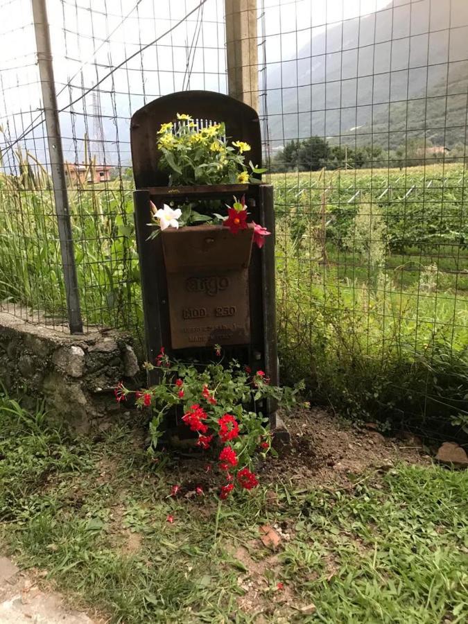 B&B La Rosa Dei Venti Арко Экстерьер фото